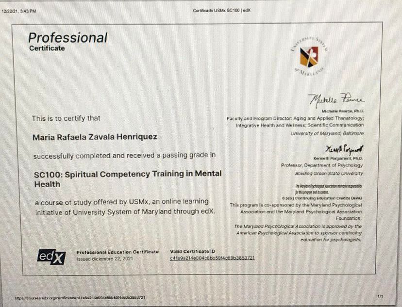 Professional Certificate